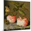 A Still Life with Roses on a Ledge-Balthasar van der Ast-Mounted Giclee Print