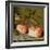 A Still Life with Roses on a Ledge-Balthasar van der Ast-Framed Giclee Print