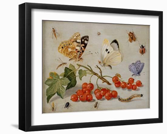 A Still Life with Sprig of Redcurrants, Butterflies, Beetles, Caterpillar and Insects-Jan Van, The Elder Kessel-Framed Giclee Print