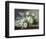 A Still Life with Yellow Roses-Raoul De Longpre-Framed Photographic Print