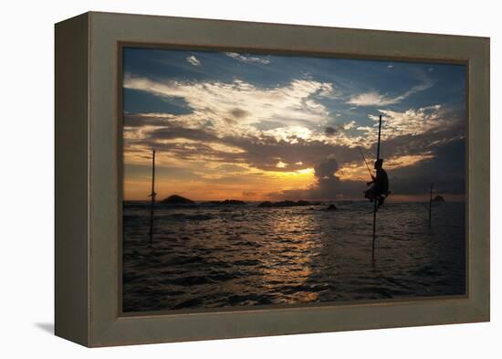 A Stilt Fisherman at Sunset-Alex Saberi-Framed Premier Image Canvas