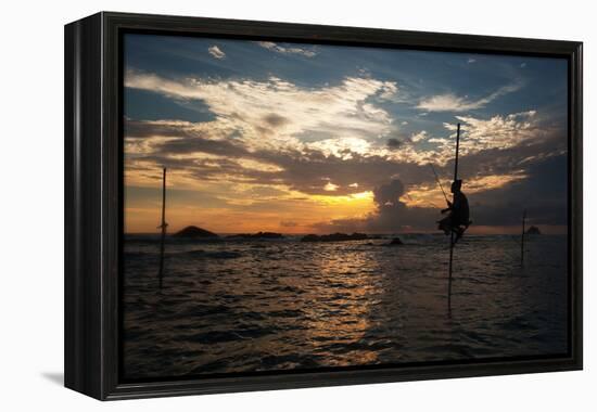 A Stilt Fisherman at Sunset-Alex Saberi-Framed Premier Image Canvas
