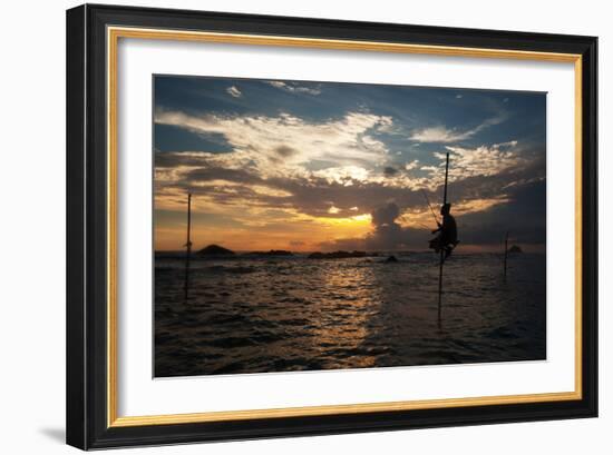 A Stilt Fisherman at Sunset-Alex Saberi-Framed Photographic Print