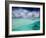 A Stingray Swimming Through the Caribbean Sea at the Cayman Islands.-Ian Shive-Framed Photographic Print