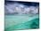 A Stingray Swimming Through the Caribbean Sea at the Cayman Islands.-Ian Shive-Mounted Photographic Print