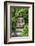 A Stone Buddha Statue in the Grounds of Ryoan-Ji Temple, Kyoto, Japan-Paul Dymond-Framed Photographic Print