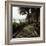 A Stone Footpath-null-Framed Photographic Print