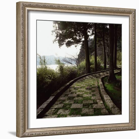 A Stone Footpath-null-Framed Photographic Print