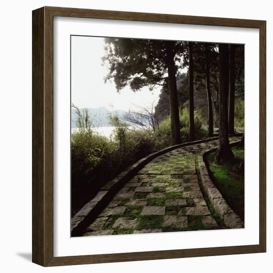 A Stone Footpath-null-Framed Photographic Print