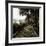 A Stone Footpath-null-Framed Photographic Print