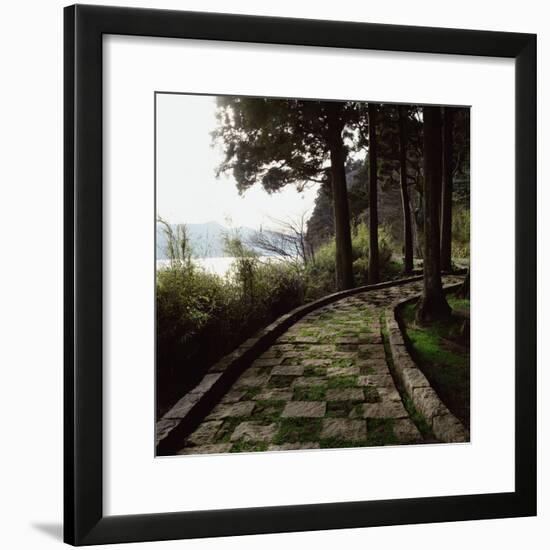A Stone Footpath-null-Framed Photographic Print