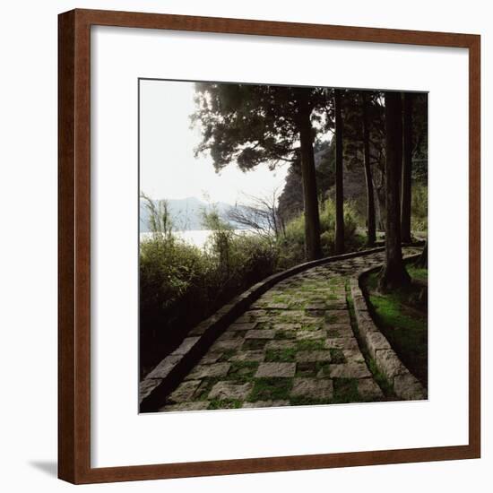 A Stone Footpath-null-Framed Photographic Print