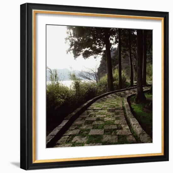 A Stone Footpath-null-Framed Photographic Print