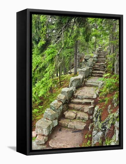 A Stone Staircase at the Thuya Gardens in Northeast Harbor, Maine, Usa-Jerry & Marcy Monkman-Framed Premier Image Canvas