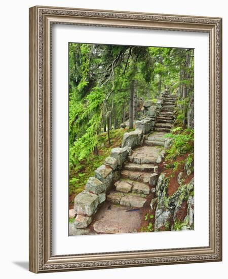 A Stone Staircase at the Thuya Gardens in Northeast Harbor, Maine, Usa-Jerry & Marcy Monkman-Framed Photographic Print