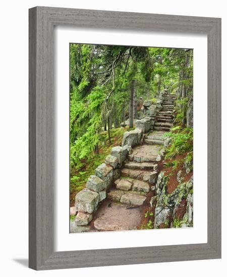 A Stone Staircase at the Thuya Gardens in Northeast Harbor, Maine, Usa-Jerry & Marcy Monkman-Framed Photographic Print