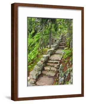 A Stone Staircase at the Thuya Gardens in Northeast Harbor, Maine, Usa-Jerry & Marcy Monkman-Framed Photographic Print