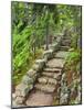 A Stone Staircase at the Thuya Gardens in Northeast Harbor, Maine, Usa-Jerry & Marcy Monkman-Mounted Photographic Print