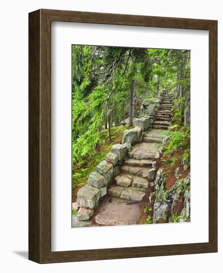 A Stone Staircase at the Thuya Gardens in Northeast Harbor, Maine, Usa-Jerry & Marcy Monkman-Framed Photographic Print