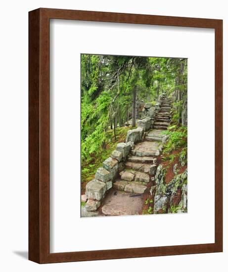 A Stone Staircase at the Thuya Gardens in Northeast Harbor, Maine, Usa-Jerry & Marcy Monkman-Framed Photographic Print