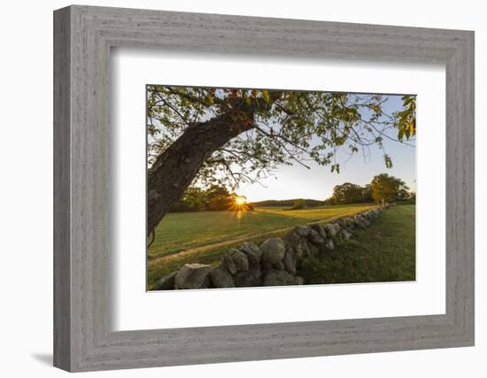 A stone wall and field at sunrise in Essex, Massachusetts.-Jerry & Marcy Monkman-Framed Photographic Print