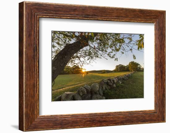 A stone wall and field at sunrise in Essex, Massachusetts.-Jerry & Marcy Monkman-Framed Photographic Print