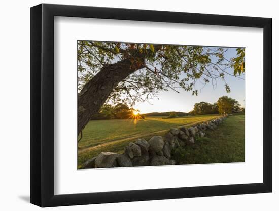 A stone wall and field at sunrise in Essex, Massachusetts.-Jerry & Marcy Monkman-Framed Photographic Print