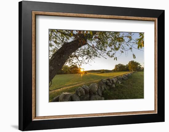 A stone wall and field at sunrise in Essex, Massachusetts.-Jerry & Marcy Monkman-Framed Photographic Print