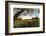 A stone wall and field at sunrise in Essex, Massachusetts.-Jerry & Marcy Monkman-Framed Photographic Print