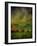 A Storm at Calke Abbey, Derbyshire-Mark Gordon-Framed Premium Giclee Print