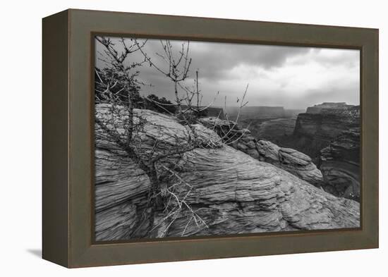 A Storm Rolls Through the Island in the Sky District of Canyonlands National Park, Utah-Clint Losee-Framed Premier Image Canvas