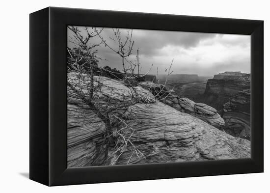 A Storm Rolls Through the Island in the Sky District of Canyonlands National Park, Utah-Clint Losee-Framed Premier Image Canvas