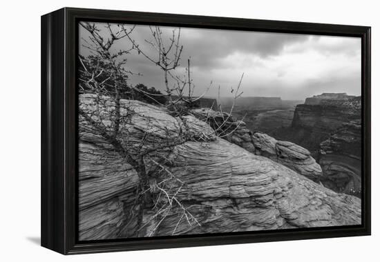 A Storm Rolls Through the Island in the Sky District of Canyonlands National Park, Utah-Clint Losee-Framed Premier Image Canvas