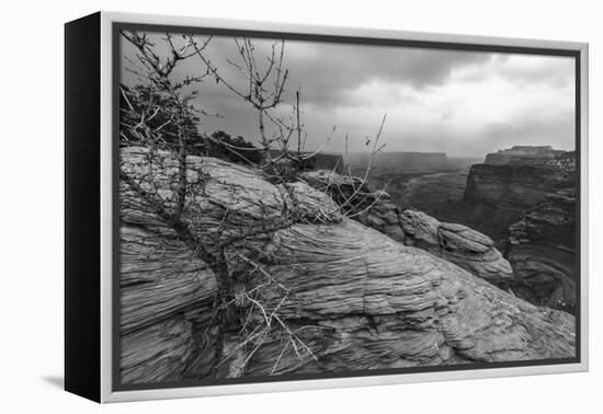 A Storm Rolls Through the Island in the Sky District of Canyonlands National Park, Utah-Clint Losee-Framed Premier Image Canvas