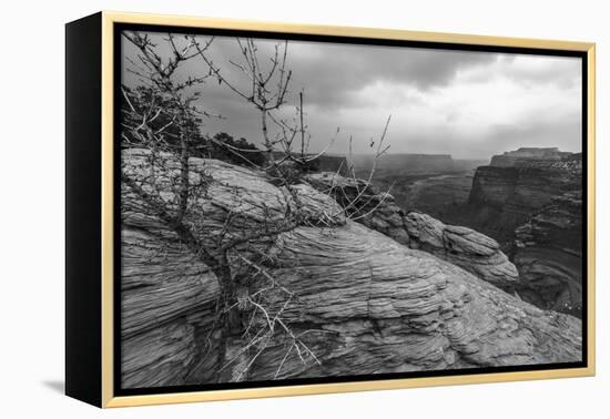 A Storm Rolls Through the Island in the Sky District of Canyonlands National Park, Utah-Clint Losee-Framed Premier Image Canvas