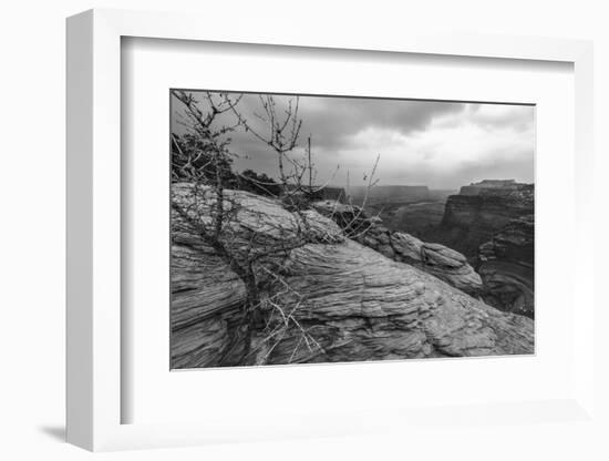 A Storm Rolls Through the Island in the Sky District of Canyonlands National Park, Utah-Clint Losee-Framed Photographic Print