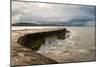 A Stormy Day at the Cobb in Lyme Regis in Dorset, England UK-Tracey Whitefoot-Mounted Photographic Print