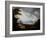 A Stormy Highland Scene-Alexander Nasmyth-Framed Giclee Print