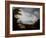 A Stormy Highland Scene-Alexander Nasmyth-Framed Giclee Print