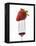 A Strawberry on a Fork-Greg Elms-Framed Premier Image Canvas