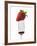 A Strawberry on a Fork-Greg Elms-Framed Photographic Print