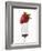 A Strawberry on a Fork-Greg Elms-Framed Photographic Print