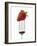 A Strawberry on a Fork-Greg Elms-Framed Photographic Print