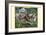 A Streak of Siberian White Tigers-Richard Kelly-Framed Art Print