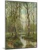 A Stream Running Through a Birch Wood-Semyon Fedorov-Mounted Giclee Print