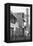 A Street in Cairo, Egypt, C1890-Newton & Co-Framed Premier Image Canvas