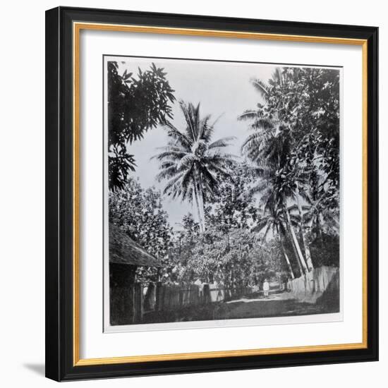 A Street in Papeete, from "Tahiti," Published in London, 1882-Colonel Stuart-wortley-Framed Giclee Print