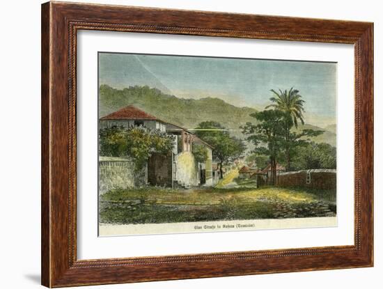 A Street in Roseau, Dominica, C1880-Pann-Framed Giclee Print