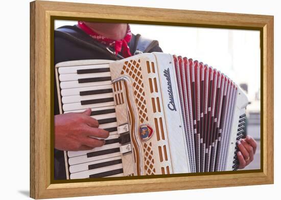 A Street Musician Plays the Accordion, Lyon, Rhone, Rhone-Alpes, France, Europe-Mark Sunderland-Framed Premier Image Canvas