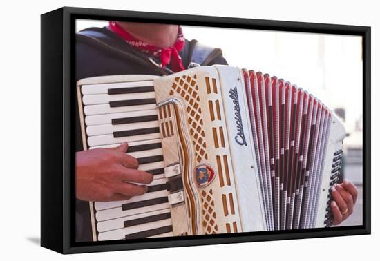 A Street Musician Plays the Accordion, Lyon, Rhone, Rhone-Alpes, France, Europe-Mark Sunderland-Framed Premier Image Canvas